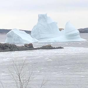 Meet your Posher, Rosemary